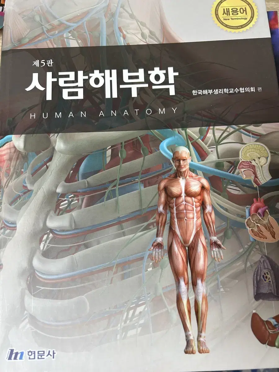 사람해부학 현문사